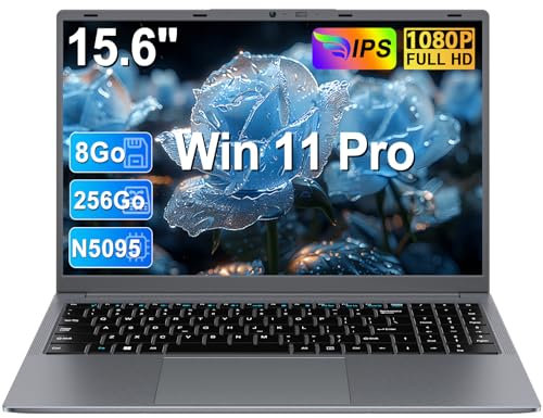 Ordinateur Portable 15.6 Pouces Celeron N5095(jusqu'à 2,9 GHz) Win11 Pro 8Go RAM 256Go SSD Extension1To 5G WiFi FHD PC Portable avec Souris sans Fil qwerty Clavier avec AZERTY Membrane du Clavier-Gris