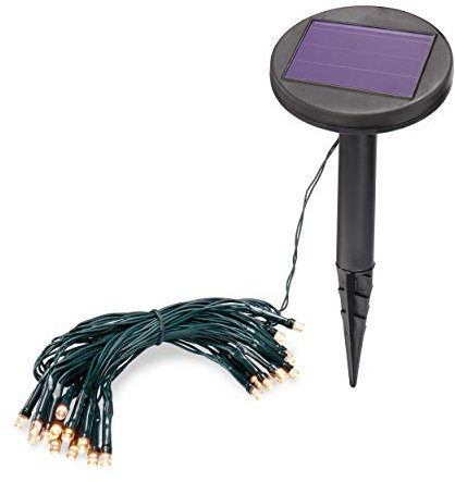 Esotec Solar Lichterkette Glühwürmchen, 24 LEDs warmweiß, Gesamtlänge 4,5m, Leuchtlänge 2,5m, Zuleitung 2m, Akku, Solarmodul, Erdspieß, Gartenlichterkette, Terrasse, Balkon, außen, winterfest, 102166