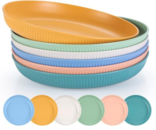 Esilihom Reusable Plastic Plates Set of 6, Unbreakable Dinner Plates 22.5cm, Lightweight for Picnic, Camping, Party, Home, Microwave and Dishwasher Safe