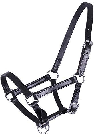 Lederhalfter Pferd Chico | Hochwertiges Leder | Individuell verstellbar | Mit Passanten ausgestattet | Einfach anzulegen | Pflegeleicht