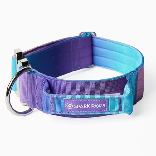 Spark Paws taktiskt hundhalsband – kraftig, premiumkvalitet, tjock och hållbar för stora och medelstora hundar – 90-tals retro – S – 3,8 cm