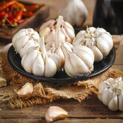 aglio biologico verdi da giardino piantare l'aglio varietà di tradizionali selvatiche vegetali invernali, aromatiche 130semi