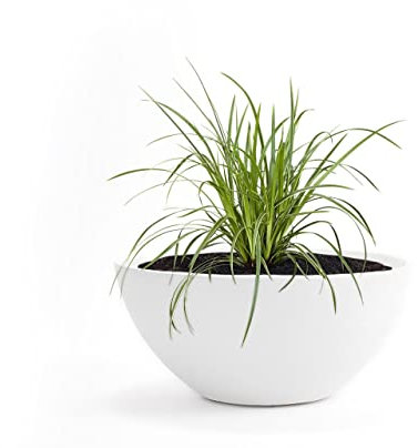 Pflanzwerk® Pflanzkübel Pflanzschale Bowl Ø 45cm Weiss *Frostbeständige Blumenschale* *Deutsche Premiumqualität* *Lotus-Effekt Imprägnierung*