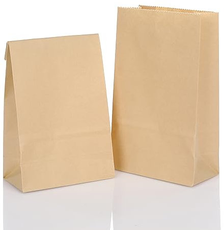 CraftWerk Kraftpapiertüten Geschenktüten klein 100 St. - Ideal als Tüte zum selber befüllen für Kindergeburtstag und DIY Adventskalender 2025 - 16 x 9 x 5 cm