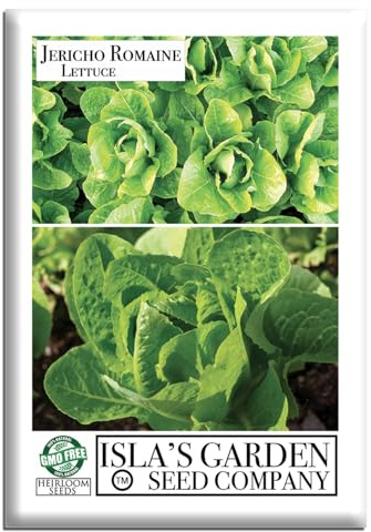 Jericho Romaine Lettuce Seeds (Lactuca Sativa) – 500+ Heirloom Non-GMO Seeds by Isla’s Garden Seeds, Heat-Tolerant Upright Heads for Crisp Salads & Wraps, Cool-Season Garden Favorite, Gift Idea
