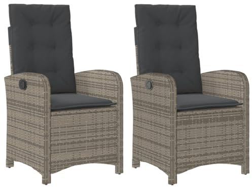 vidaXL Gartensessel mit Kissen 2 STK., Gartenstuhl mit Verstellbarer Rückenlehne, Liegestuhl mit Stahlrahmen, Sessel Stuhl Relaxsessel, Grau Poly Rattan