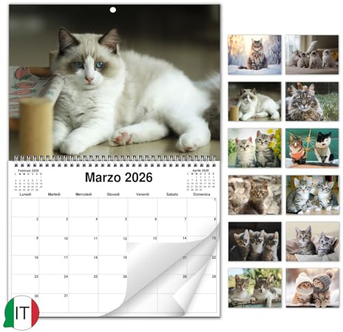 AEYAKA Calendario de Pared de Gatos 2026 – Planificador Mensual con Fotos de Gatos, Calendario Colgante Formato A3, Organizador Familiar y de Oficina, Regalo para los Amantes de los Gatos Italiano
