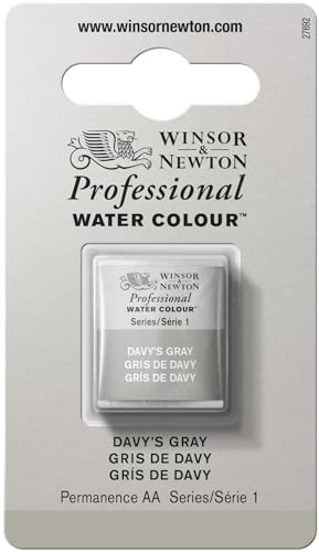 Winsor & Newton 0101217 Professional Aquarellfarbe, lebendige Wasserfarben in Künstlerqualität, hohe Farbbrillanz & Leuchtkraft, lichtecht, Archivqualität, 1/2 Napf - Davy's Grau