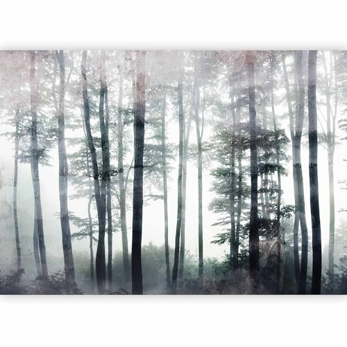 murando - Carta da parati Foresta Alberi 450x315 cm Fotomurali in TNT Murale alla moda Decorazione da Muro XXL Poster Gigante Design Cameretta Carta per Pareti Calcestruzzo come dipinto b-C-0986-a-a