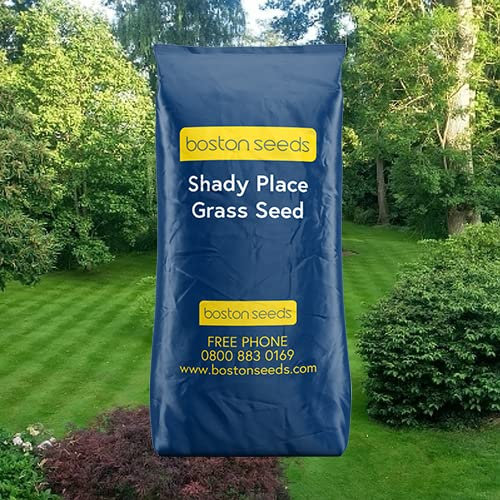 Boston Seeds Grass Seed for Shady Areas - Shady Lawn Seed (1 x 2kg)
