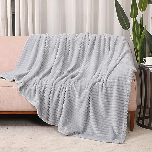 HOZY Manta de Forro Polar de Franela Supersuave, cálida y esponjosa, para Cama y sofá, para Toda Estación (Gris Claro 130x150cm)