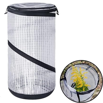 Serra pop-up piccola – Mini serra da giardino – 60 x 30 cm piccolo fungo vegetale – pellicola protettiva per piante