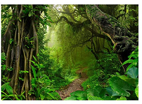WallArena - Vlies Fototapete Wald Bäume Dschungel Pflanzen Regenwald 254x184 cm - Fototapeten - Tapeten - für Wohnzimmer Schlafzimmer - Vliestapete Wandtapete Tapete 3D Effekt- inkl. Kleister