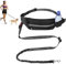 Corpower Joggingleine Hunde, Laufleine für Hunde, Bauchgurt Hundeleine - Multifunktional, Bietet Platz für Eine Wasserflasche, Geeignet zum Joggen, Radfahren, Wandern