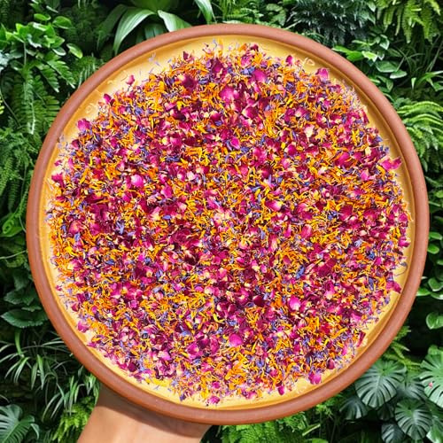 Fleurs Comestibles Bio Sches 15g | Mlange Ptales de Rose,Souci,Bleuet | Dcoration Naturelle Aromatique pour Gateaux,Cocktails,Savons Artisanaux & Bougies | Idal pour Crations Culinaires et DIY
