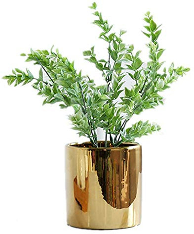 ZENGYUAN, pianta grassa in Vaso con Foglie Verdi per Piante grasse, Decorazione da Tavolo, per Interni e salotti E