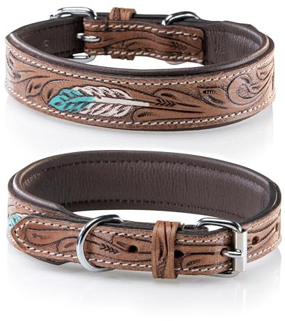 Jack & Russell Hundehalsband aus Leder, Hand-geschnitzt, gepolstert, Mehrfarbig – Halsband aus Büffelleder, Grosse Hunde Lederhalsband Chloe (XL/46,0-58,0)