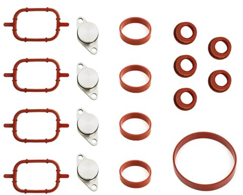 FortuneGlobe 4×22mmKit de válvulas de extracción Admisión M47/M47TU Junta de colector Tapa 11612245439 para E87 E46 E90 E91 E92 E93 E39 E60 E83 E53