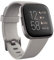 Fitbit Versa 2 Health & Fitness Smartwatch with Voice Control, Sleep Score & Music, One Size, Stone/Mist Grey