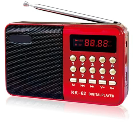 ISKDJBJG Radio FM Digitale Multifunzione Altoparlante Multimediale Lettore Musicale MP3 Supporto Scheda TF unità USB Display Regalo per Anziani
