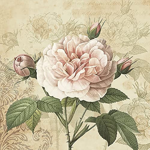 Maki 3-Ply Roses Design Tissue Paper Napkins Serviettes for Decoupage Lunch 33cm x 33cm - Pack of 20 (Vintage Rose with Buds)