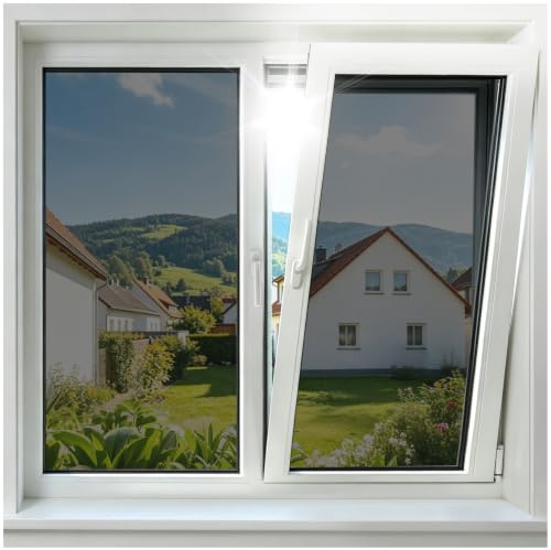 rabbitgoo Pellicola Specchio per Vetri Finestre Privacy, Adesivo Statico, Pellicola per Vetri Finestre Anti Sole, Protezione UV, Pellicole Oscurante per Casa Ufficio Negozio, 44.5x200cm, Nero Argento
