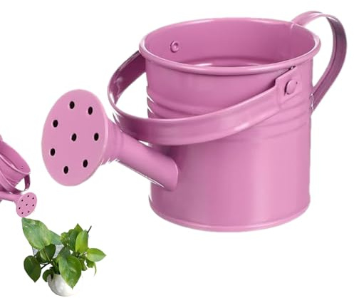 Gießkanne – Outdoor | Gießkanne Für Pflanzen Aus Verzinktem Eisen, Rustikale Blumenbehälter-Ornament Aus Metall Mit Stabilem Griff Für Rasendekoration, Gartenarbeiten Im Hinterhof, Pflanzgefäße Auf De