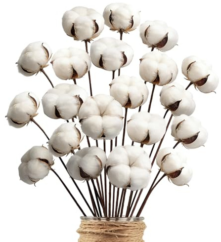 Minnhua 20PCS Flores de Algodon Secas Naturales Blancas 58cm Flor de Algodon Natural con 20 Cabeza de Ramos de Algodón Deco Planta Seca para Boda Fiesta Jarrones Mesa Hogar Navidad Decoracion Granja