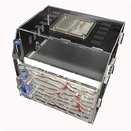 XBSXP Ameisennest City Ant Farm Bambus Glas Insektenvilla Haustier Ameisen Lebensraum Insekten Ameisenfarm Enthält Keine Ameisen (Farbe: Rot, Größe: 216x196x210mm