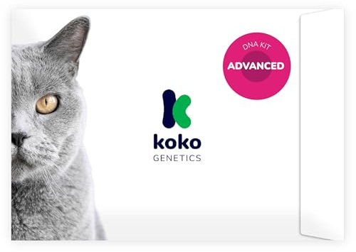 Koko Genetics Test ADN pour Chats Advanced - (+150 rapports sur Les Races, Santé et Traits) - Mises à Niveau sans Frais