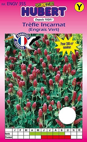Graines de Trèfle Incarnat Pour 300 m² - 300 grammes