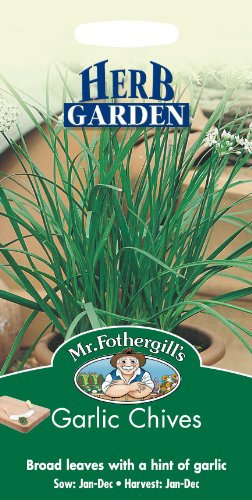 Mr Fothergills - Pictorial Packet - Herb - Garlic Chives - 300 Seeds