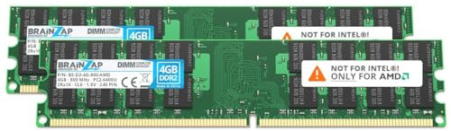 BRAINZAP Memorycity PC2-6400U 2Rx16 - Memoria RAM DDR2 (8 GB, 800 MHz, 1,8 V, CL6, 2 módulos de 4 GB)