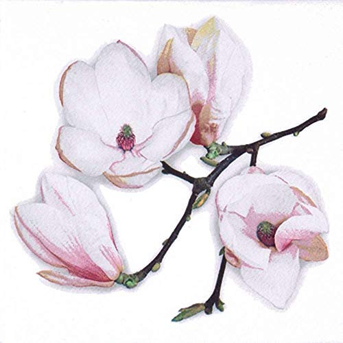 linoows 20 Servietten Frühling, Weiße Magnolien, Blühender Magnolienzweig 33x33 cm