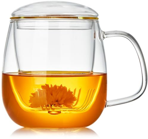 MEISINNI Teetasse aus Glas, 750 ml, mit Teesieb und Deckel, transparente Teetasse aus Borosilikat, ideal für lose Blätter, Aufgüsse und Beutel, ergonomischer breiter Griff