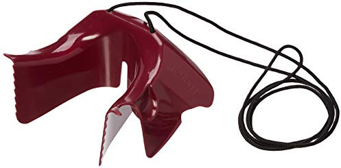 Shoe Horn Funnel (AKA Foot Funnel) Back-Friendly Ergonomic Shoehorn for Hands-Free Shoe Donning, Shoe Horn for Seniors with adjustable lanyard, Made in USA *As seen on TV*
