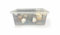 Kit MonoTub 45L - Kit de cultivo de hongos para principiantes y expertos | Hasta 1 kg de hongos frescos de todos los descargas | The High Grain Company