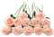 JOYHAZE Künstliche Rosen, 50 cm, einzelner Langer Stiel, Seidenblumen, blühende Rosen für Hochzeit, Zuhause, Party, Büro, Tischdekoration, DIY-Blumenarrangements, 12 Stück
