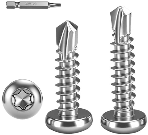 FandWay 100 Pièces Torx Vis Autoforeuse Metal,M4.2x19mm Vis à Tôle Autotaraudeses et Autoperceuse Autoperforante Inox 410 Torx Tête Bombée Ronde pour Aluminium Bois Tôle Plastique.Avec 1 TX20.