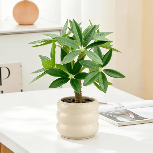 WOHSEROM Small Money Tree Bonsai 11.4 inch Artificial Desk Plant in White Ceramic Pot, Realistic Indoor Faux Potted Pachira Money Plant for Home Office Living Room Decor(Maintenance Free)