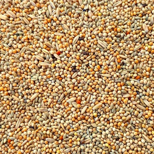 Supravit Wellensittichfutter Basis 25 Kg - Basis Körnermischung für Sittiche