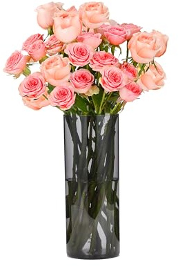 Koelaa Vase Cylindrique en Acrylique Incassable, Vase Transparent Gris Moderne, Décorations Salon et Chambre Style Scandinave, Déco Maison Minimaliste, Cadeau Femme/Mariage/Anniversaire-10 x 40cm