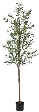 Artificial Olive Tree, 6FT Tall Faux Olive Trees 72in Outdoor Fake Potted Silk Plant with Trunk and Realistic 648 Leaves and 24 Fruits for Modern Office Home Decor Indoor（1pack）