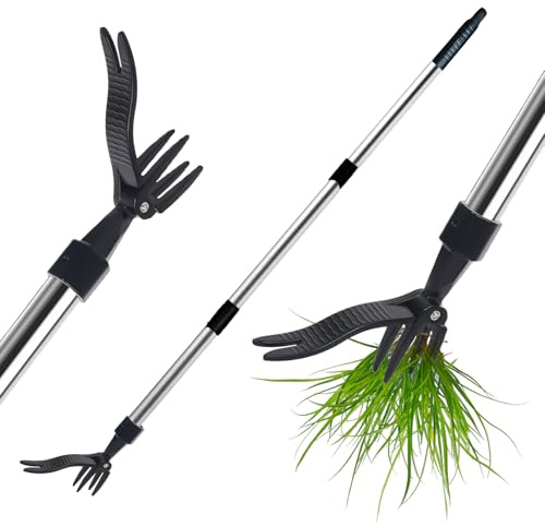 Lichamp Estrattore di erbacce, 1,12 m, strumento da giardino con pedale e design a 4 artigli per diserbo senza piegatura, estrattore di radici profonde e rimozione di dente di leone per prato, patio
