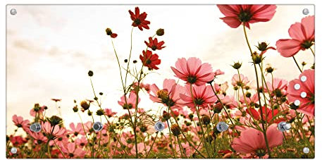 banjado® Wandgarderobe aus Echtglas/Design Garderobe 80x40x6 cm groß/Flurgarderobe mit 5 Haken/Magnetisches Garderobenpaneel Motiv Schmuckkörbchen