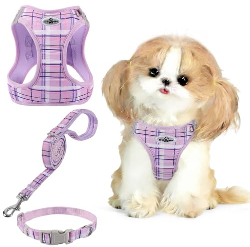 Gyuzh Dog Harness and Leash Set for Puppies - 3 Piece Step in No Pull Vest & Collar, Extra Small Kitten Harness, Breathable Reflective Plaid, Padded Leash (Purple, S)