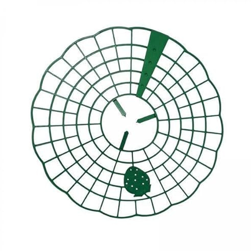 JISADER 2X Soportes de Fresa para Jardín: Solidez Y Protección