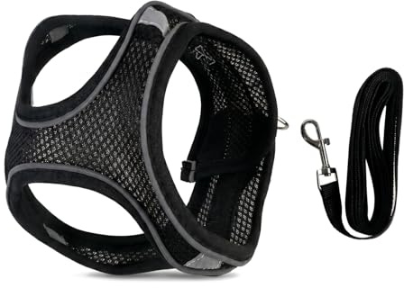 Dog Harness and Lead Set, Small Dog Harness with Leash