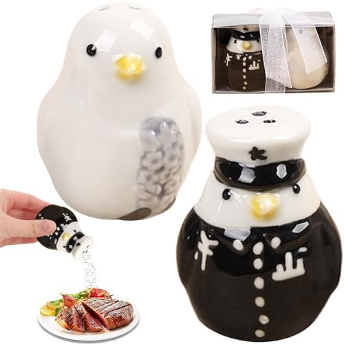 Yueser Salieres et Poivrieres, Petite Céramique Saliere et Poivriere de Table Portable Pot a Epices Oiseau Saliere Bocaux à Épices Spice Jars Bouteilles d'Assaisonnement Poivre Cumin Sel Cadeau 1Paire