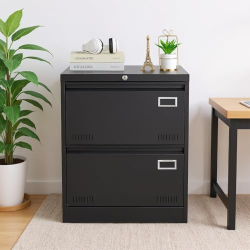 Mochalight Lateral File Cabinet 2 Drawers Lockable File Cabinet with Card Holder, Metal Drawer Small File Cabinets Under Desk for Home Office Legal/Letter/f4/a4 Size Black